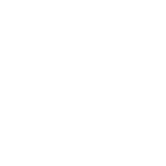 logo_footerN
